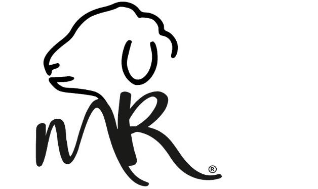 EXPERIENCIAS MR PASTOR POR UN DÍA